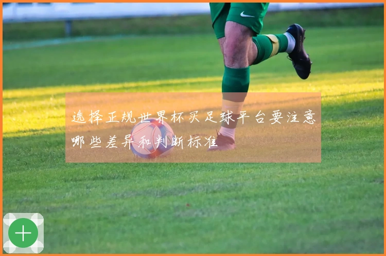 选择正规世界杯买足球平台要注意哪些差异和判断标准