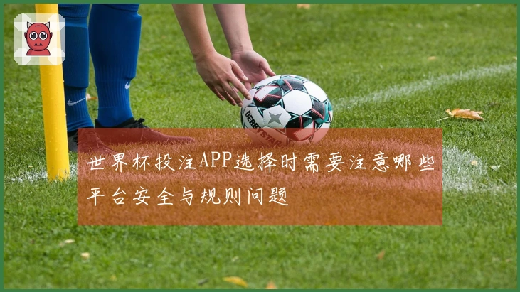 世界杯投注APP选择时需要注意哪些平台安全与规则问题