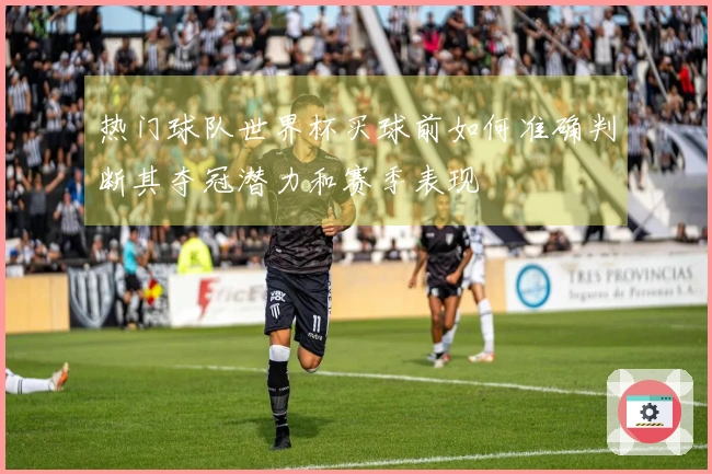 热门球队世界杯买球前如何准确判断其夺冠潜力和赛季表现