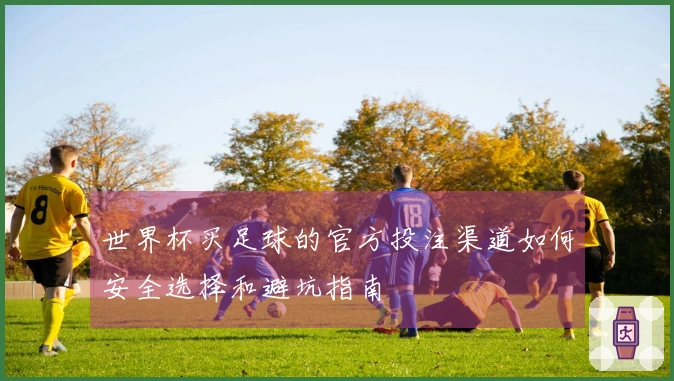 世界杯买足球的官方投注渠道如何安全选择和避坑指南