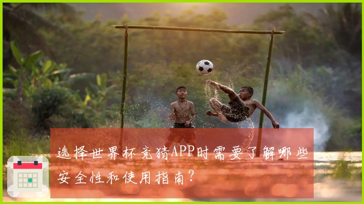 选择世界杯竞猜APP时需要了解哪些安全性和使用指南？