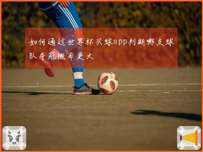 如何通过世界杯买球app判断哪支球队夺冠概率更大