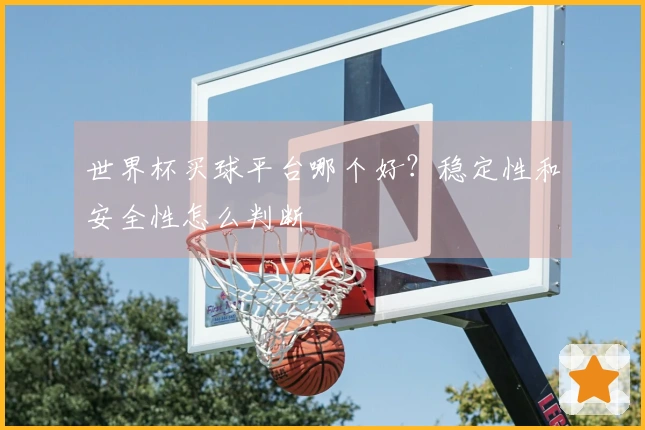 世界杯买球平台哪个好？稳定性和安全性怎么判断