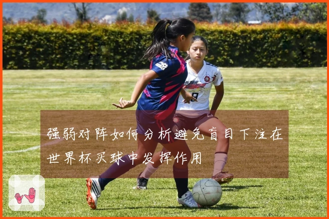 强弱对阵如何分析避免盲目下注在世界杯买球中发挥作用