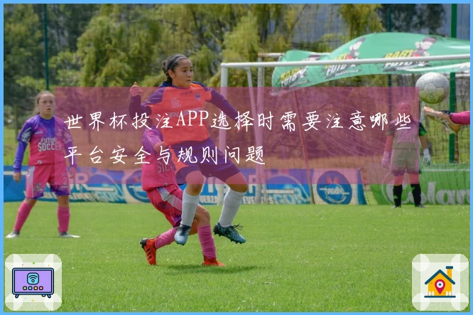 世界杯投注APP选择时需要注意哪些平台安全与规则问题